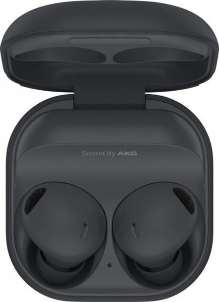 Беспроводные наушники Samsung Buds 2 Pro (SM-R510NZAASEK) Gray 71682 фото